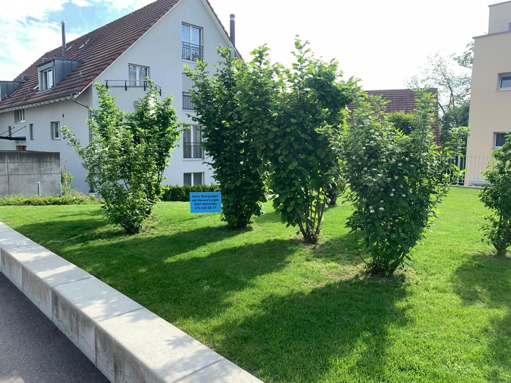 Gepflegte Grünfläche mit Sträuchern vor einem Wohnhaus